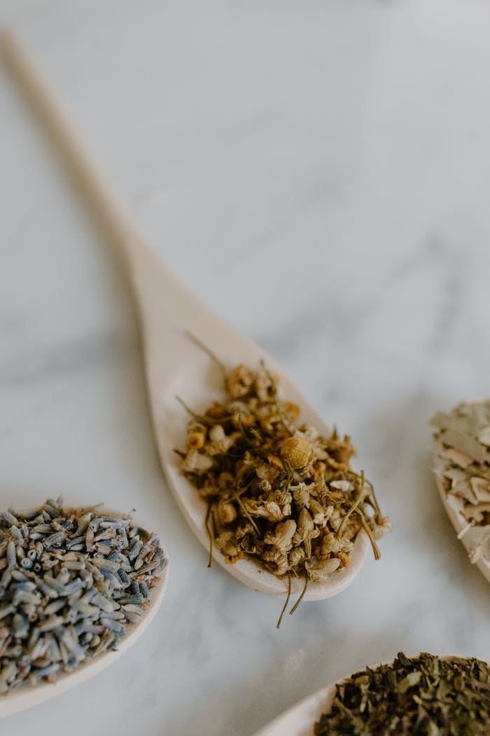 Assorted dried herbs displayed in wooden spoons on a marble background, ideal for natural medicine or cooking themes.